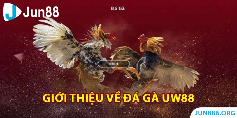 Giới thiệu về đá gà UW88
